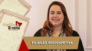 Explica Direito Filiação Socioafetiva  2019 [upl. by Cammie]