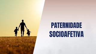 Paternidade socioafetiva [upl. by Yaj]